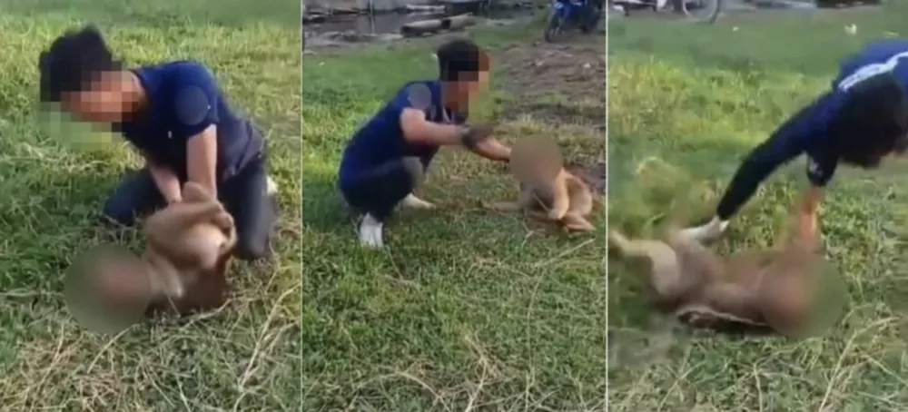 Penangkapan Penganiaya Monyet: Polisi Kelantan Tahan Dua Pria Terkait Video Viral