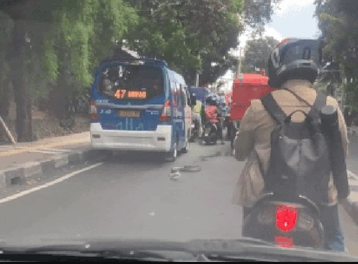 Ular sanca panjang melata di jalanan Jakarta Selatan, membuat pengendara takut”