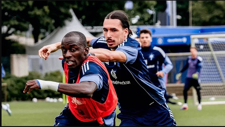 Pertandingan Hamburger SV vs Borussia Dortmund – Bundesliga 8 November 2025