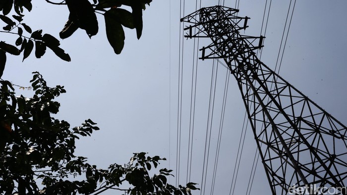 Pria panjat kabel SUTET di Jakarta Selatan selamat setelah tersangkut di pohon