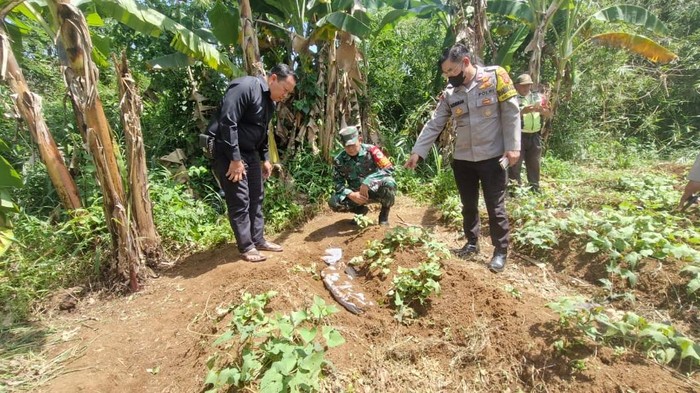 Ilustrasi bangkai anjing berkafan ditemukan warga Bogor