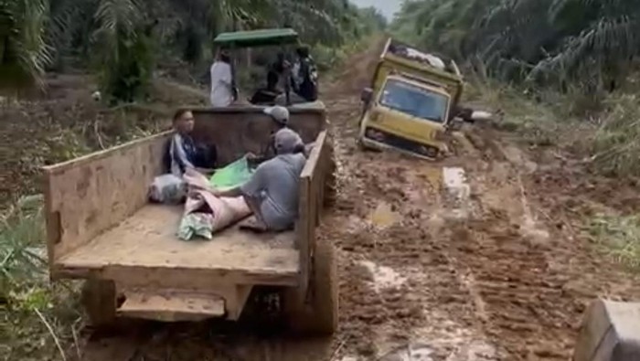 jenazah diangkut pakai traktor sawit akibat jalan rusak di jambi