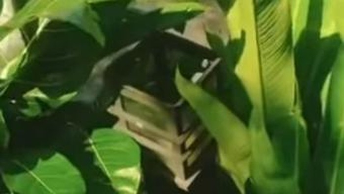 lampu taman cibinong bogor hilang diduga dicuri