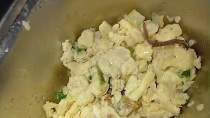 Temuan cacing tanah pada sajian MBG di SMAN 6 Medan