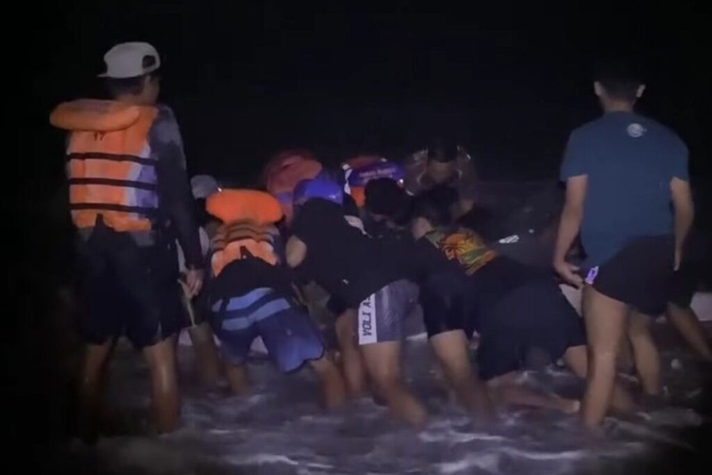 Tim SAR Parangtritis selamatkan hiu tutul yang terdampar di pantai