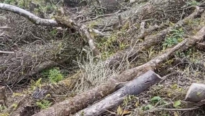 video promosi wisata Gunung Salak viral warga lokal geram