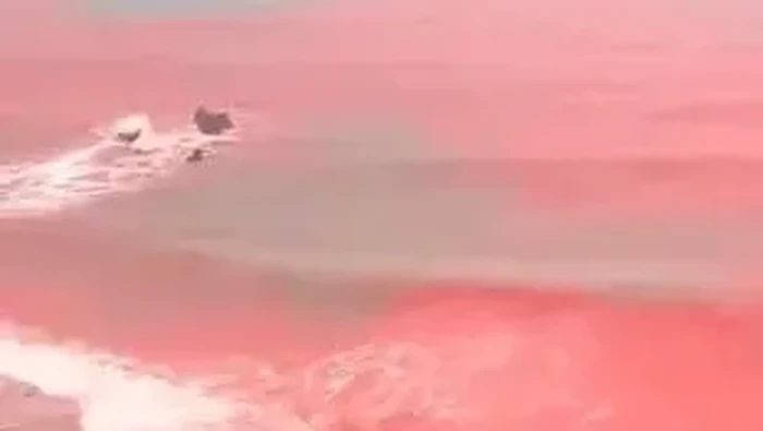 laut jadi merah darah ternyata fenomena red tide bukan tanda akhir zaman