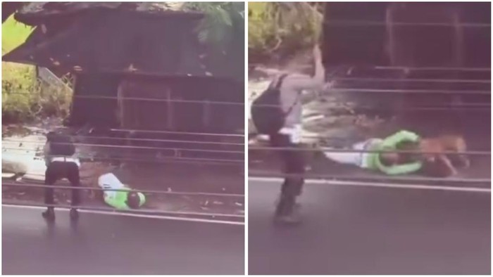polisi di lampung menolong warga saat diserang anjing pitbull
